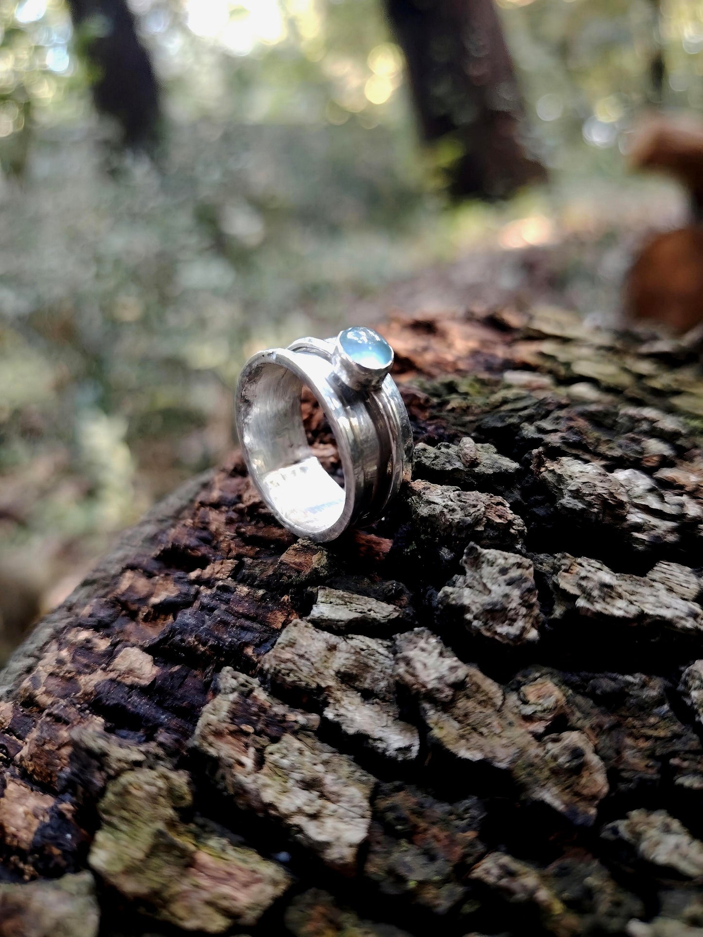 ANELLO HALLEY'S COMET