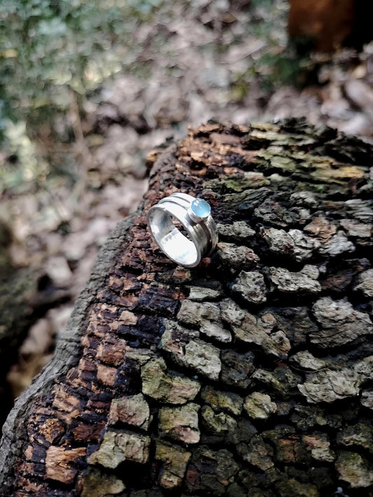 ANELLO HALLEY'S COMET