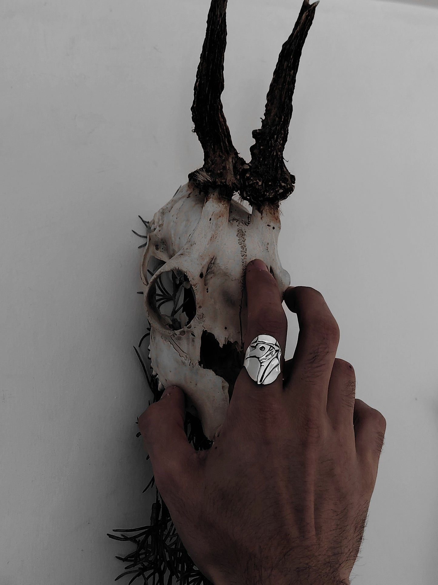 ANELLO PLAGUE DOCTOR