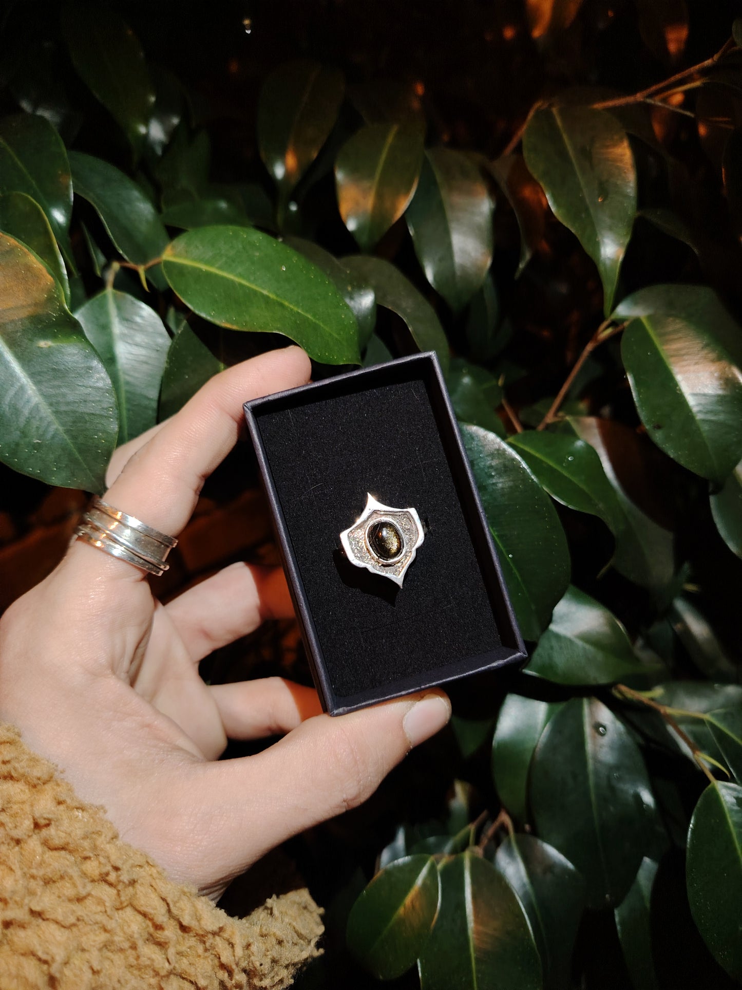 ANELLO THE SOUND OF SILENCE