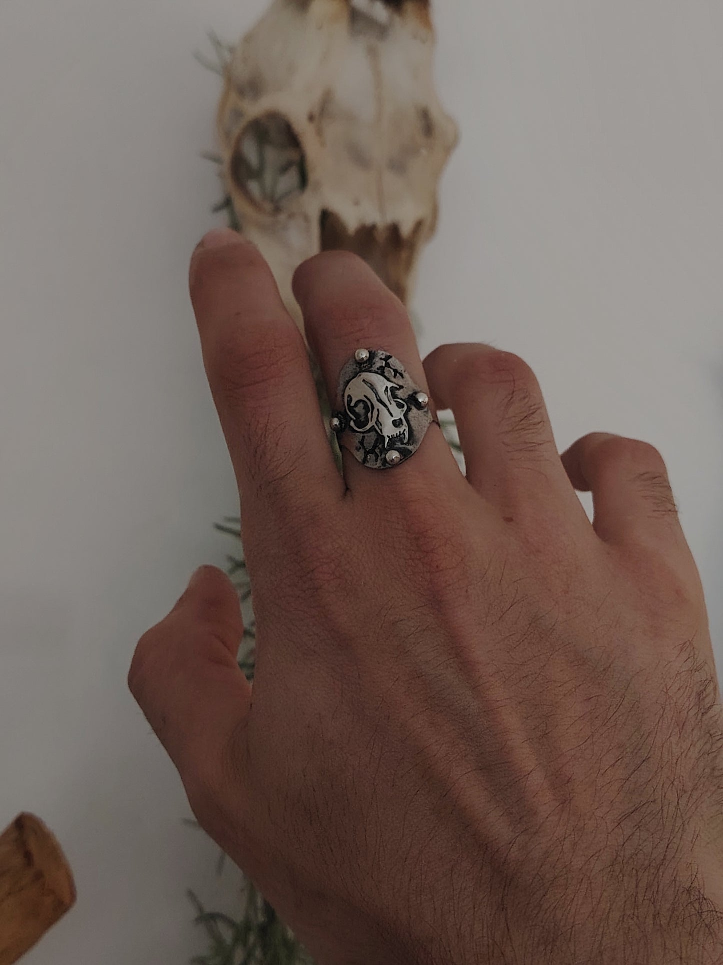 ANELLO CAT SKULL