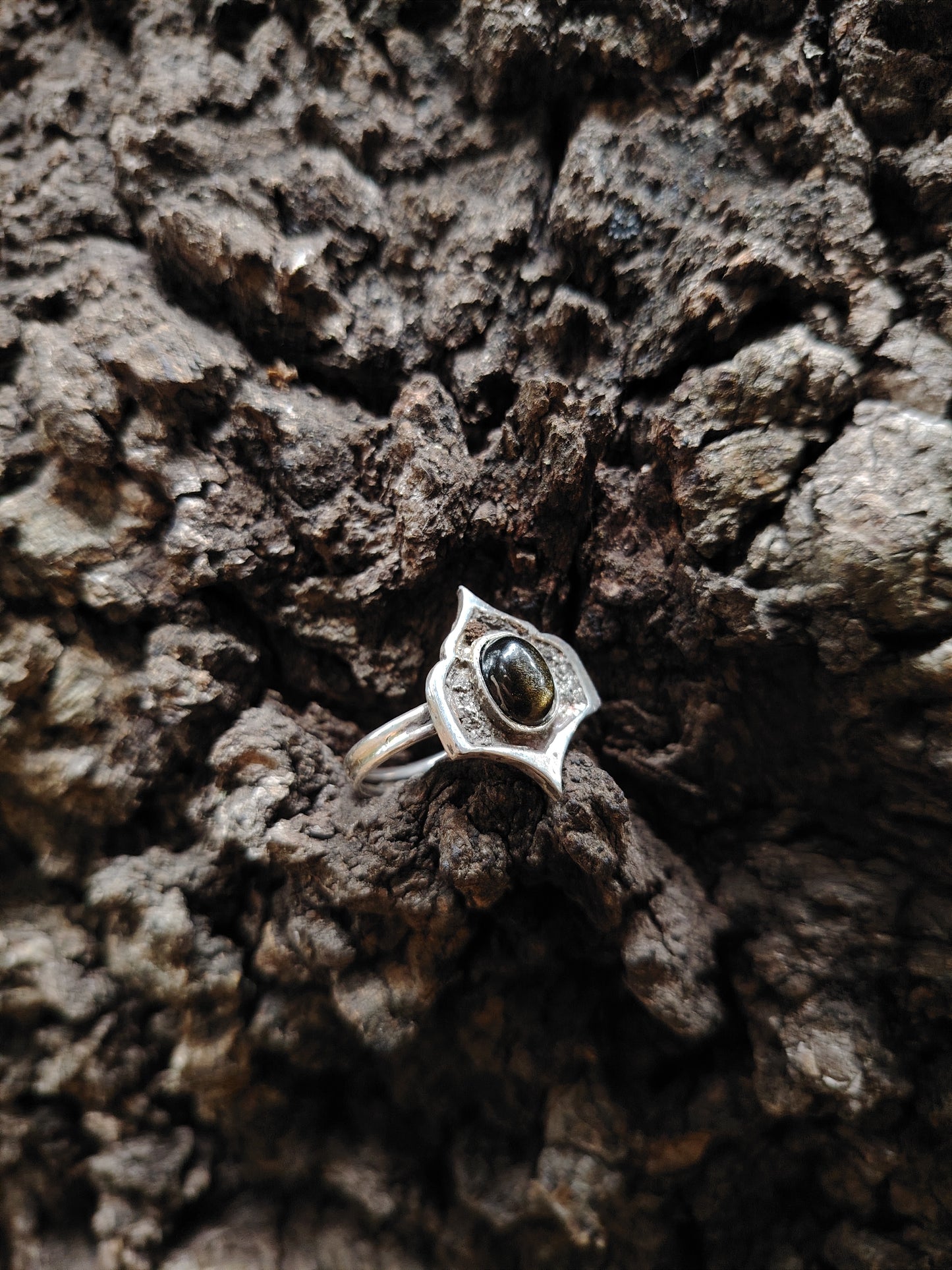 ANELLO THE SOUND OF SILENCE