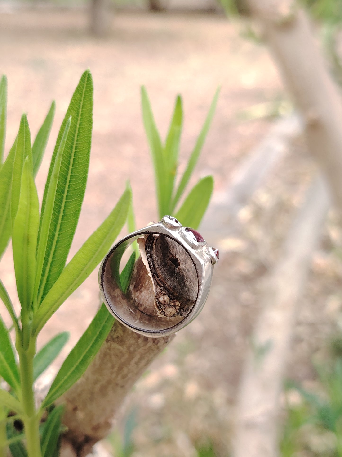 ANELLO MONTE FATO